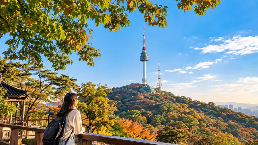 Explorando el Parque y la Montaña Namsan